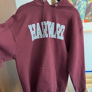 Harvard Champion Hoodie Large